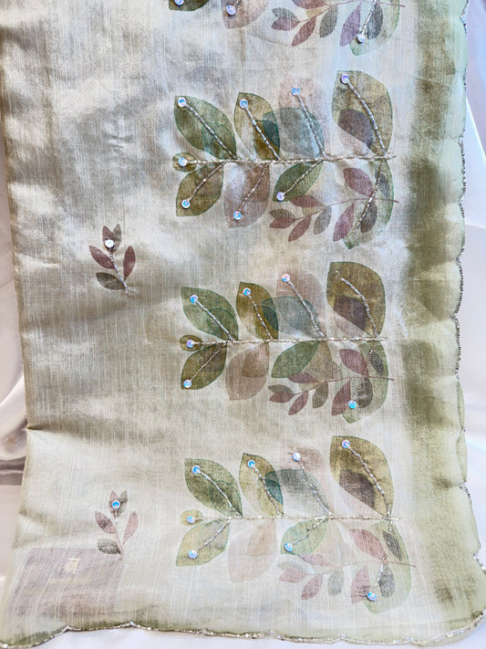 Organza Fancy Saree (Light Mehendi)