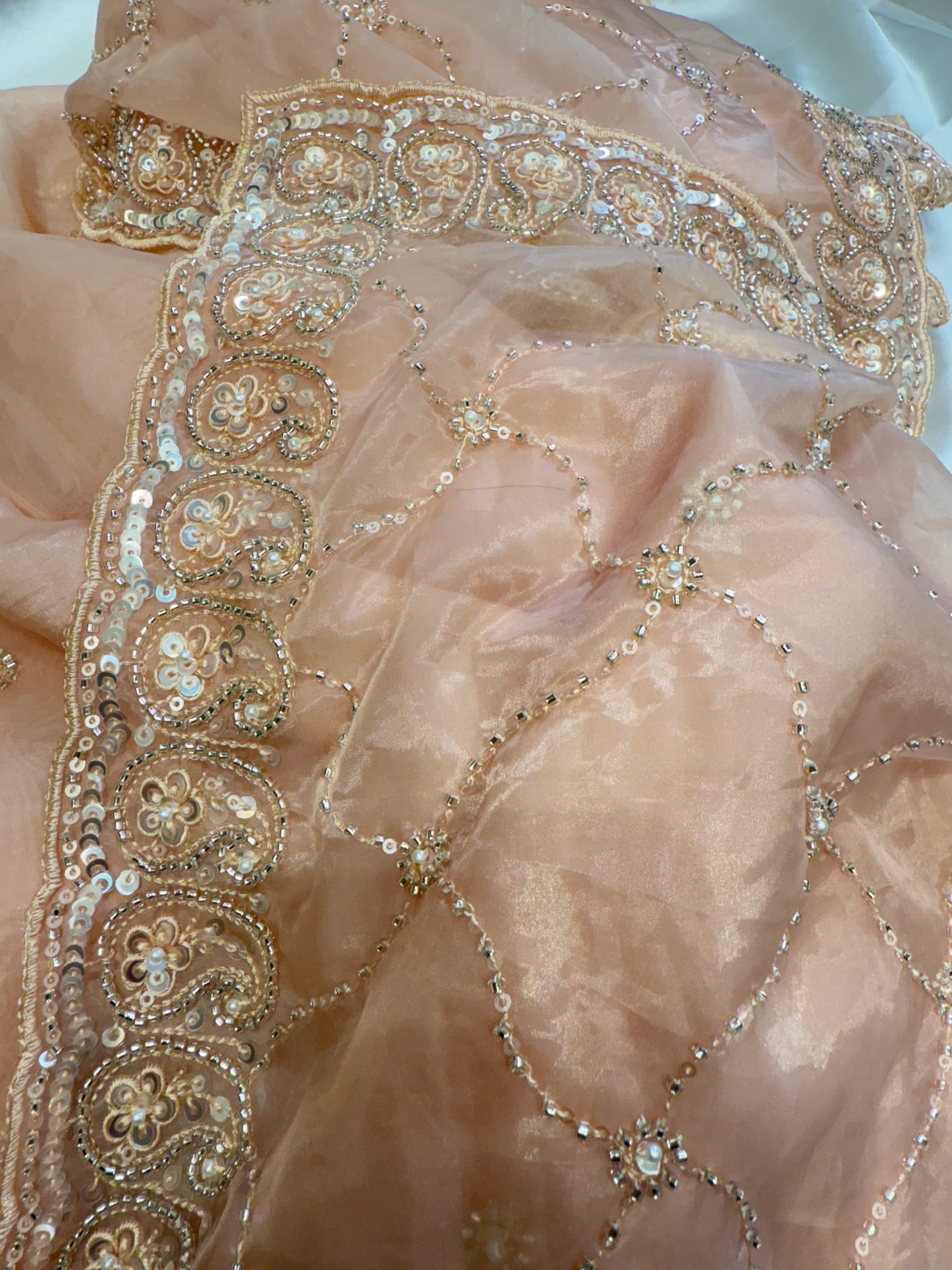 Organza Silk Saree (Peach)
