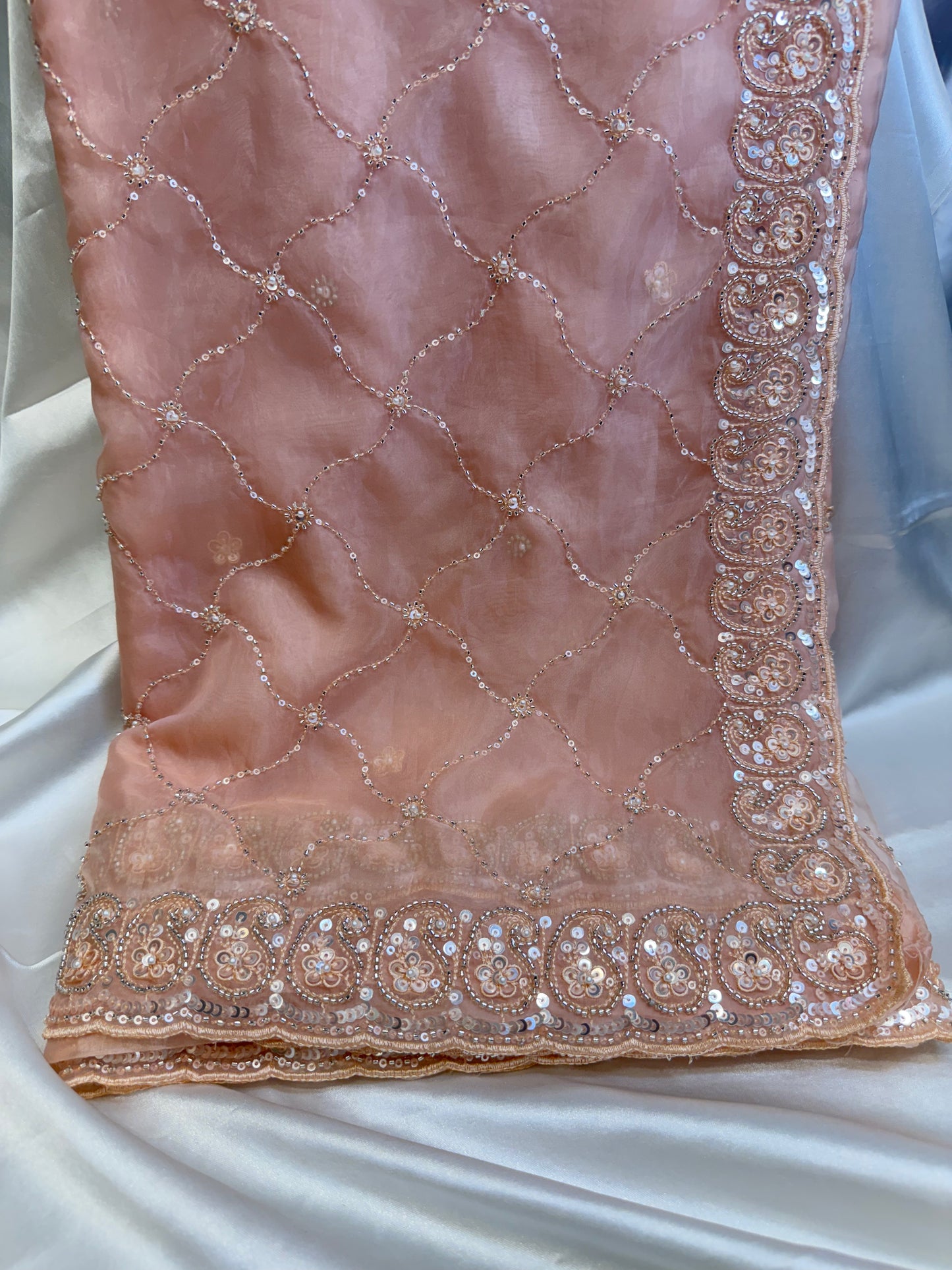 Organza Silk Saree (Peach)